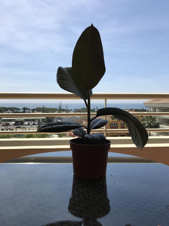 Nagueles II Apartment Marbella Luaran gambar